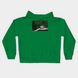 Green Jay Out On A Limb Kids Hoodie